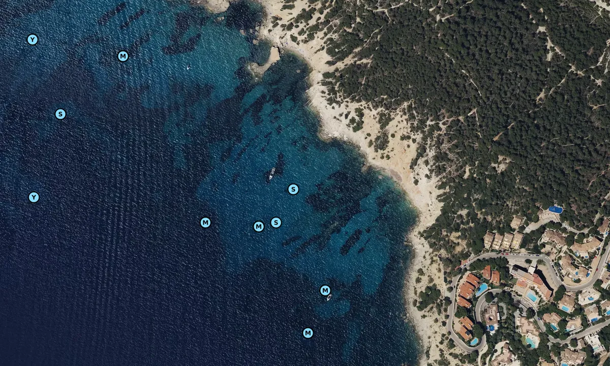 Satelite image of Paguera Sur