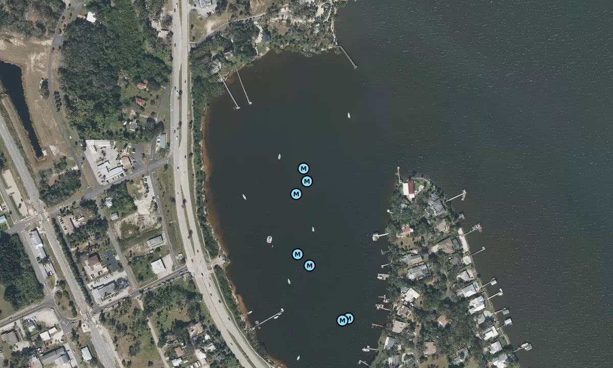 Satelite image of Palm Harbor