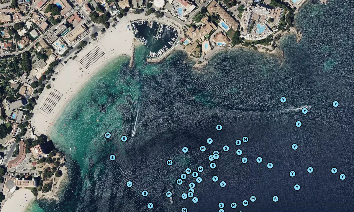 Satelite image of Palmanova