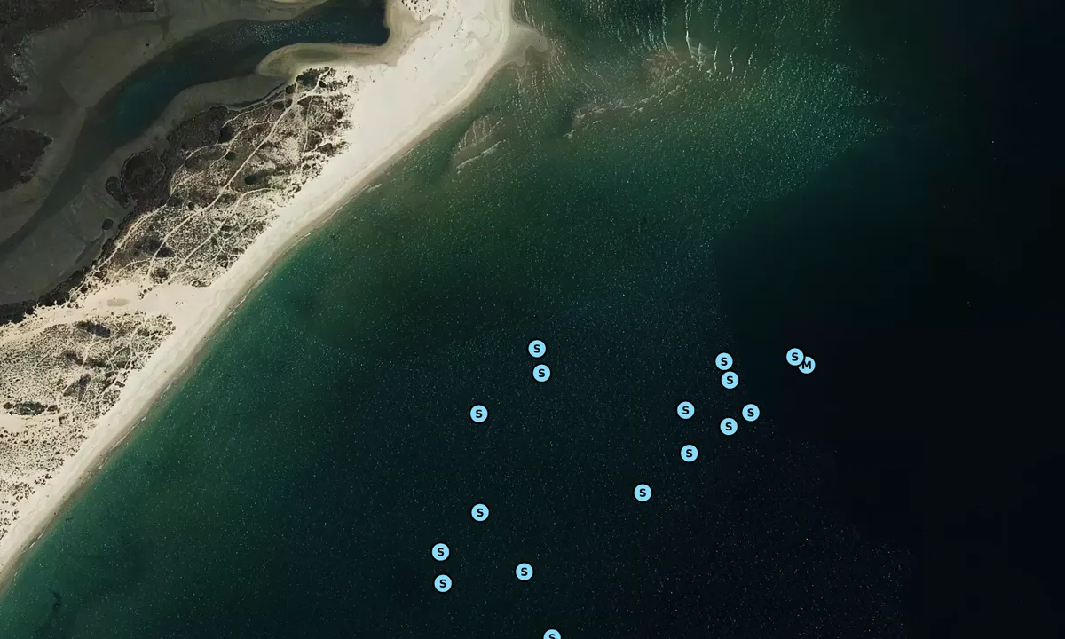 Satelite image of Palmones