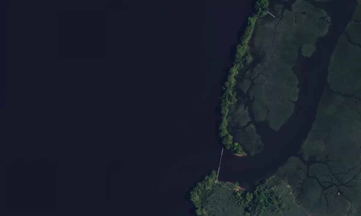 Satelite image of Palmyra Cove