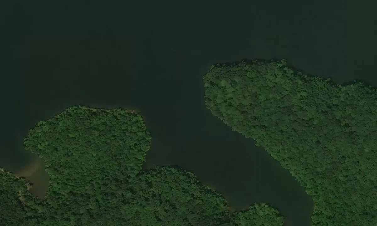 Satelite image of Panther Bay South