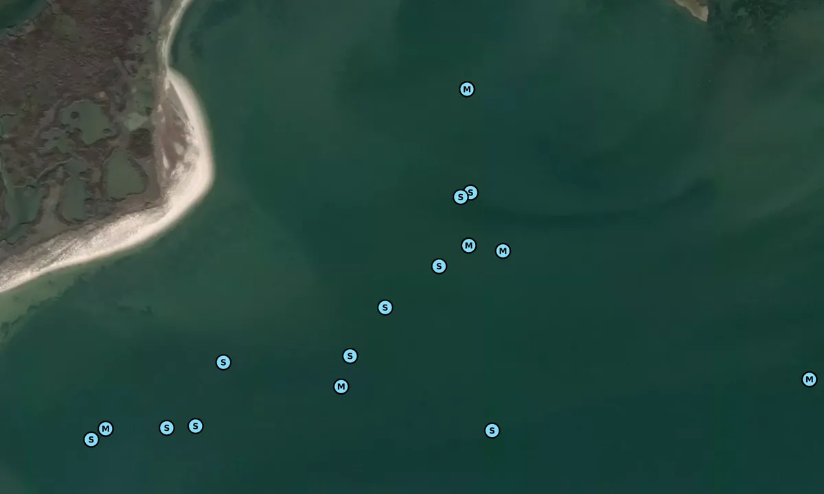 Satelite image of Parker Marsh