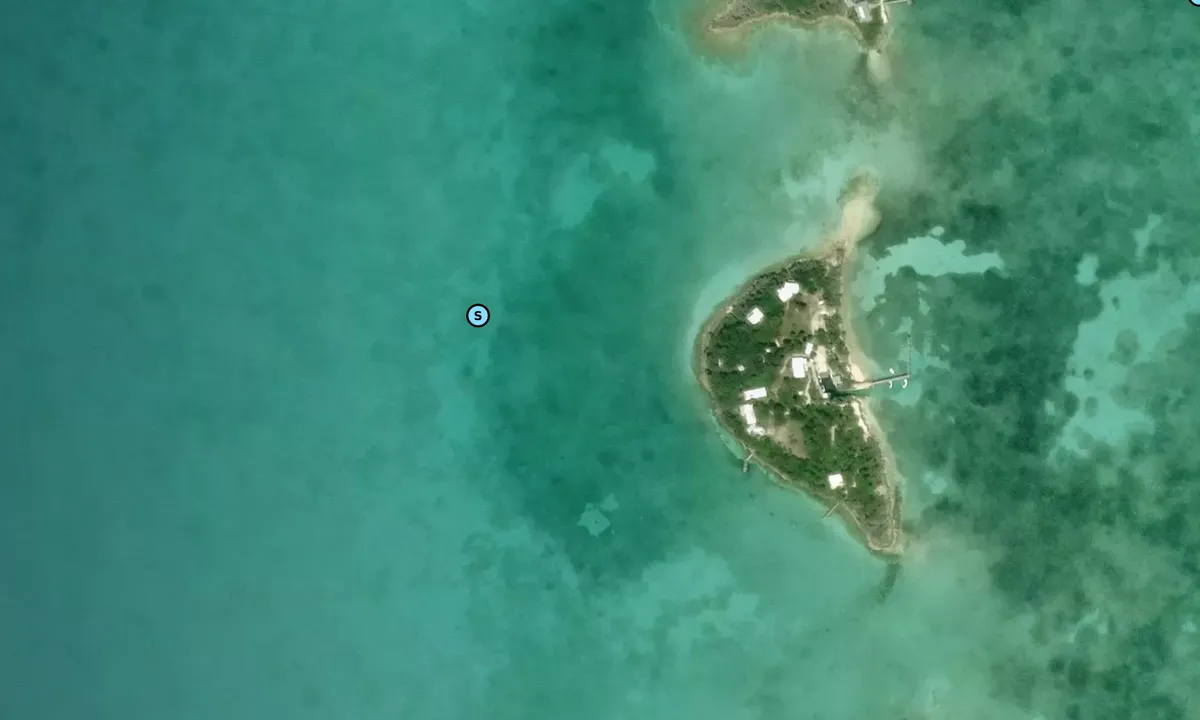 Satelite image of Parrot Cays