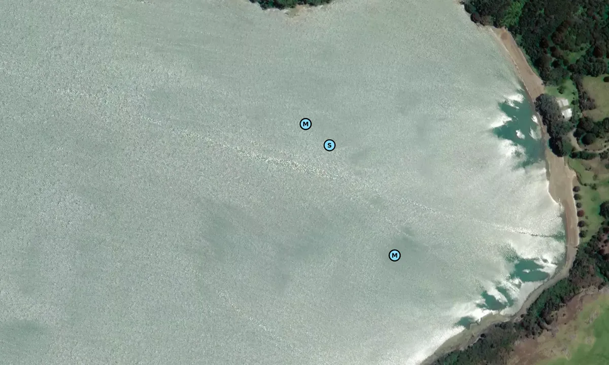 Satelite image of Patunui Bay