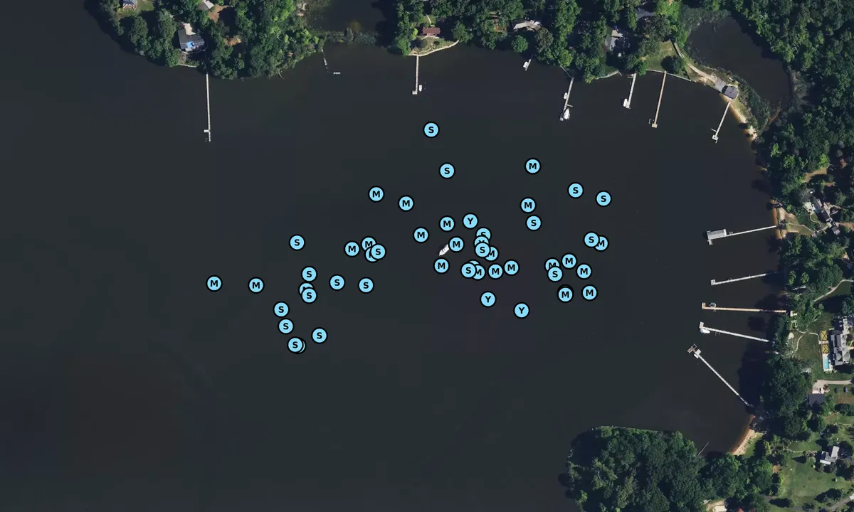 Satelite image of Pea Patch Point