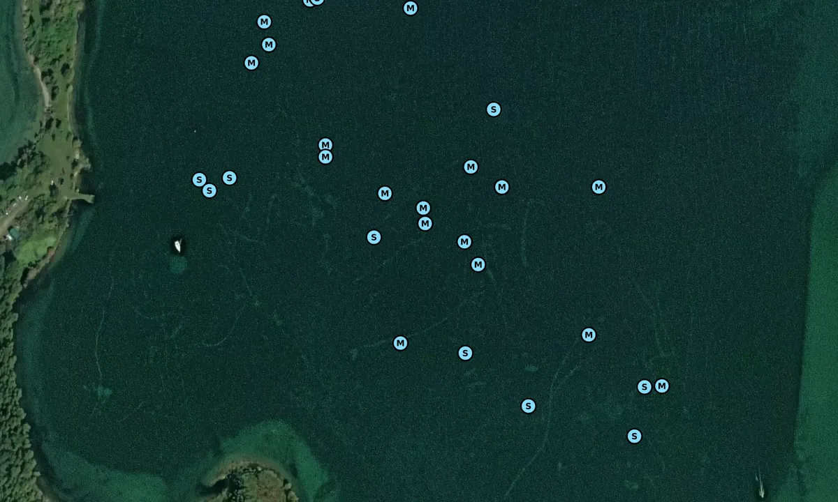 Satelite image of Pedersens Bay