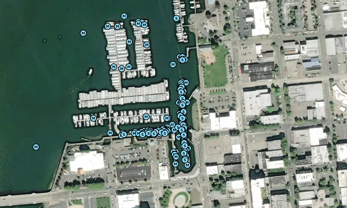 Satelite image of Percival Landing