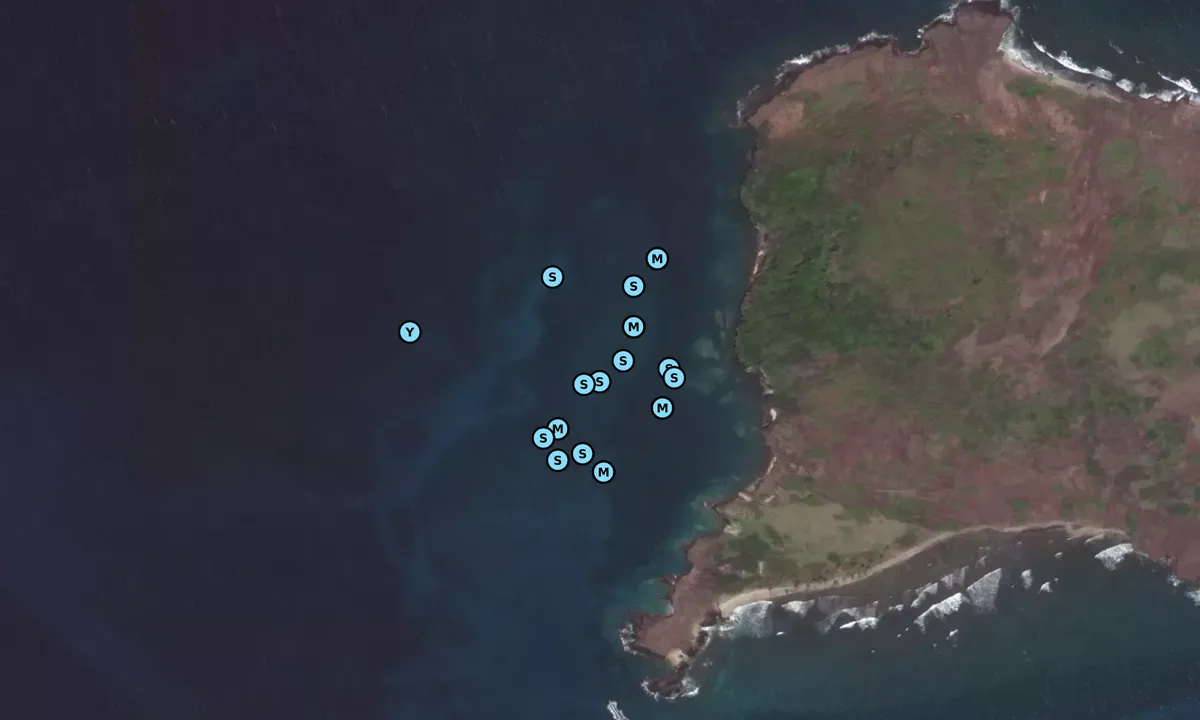 Satelite image of Petit Nevis - Derrick