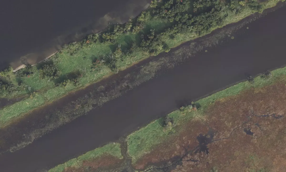 Satelite image of Petrie Island