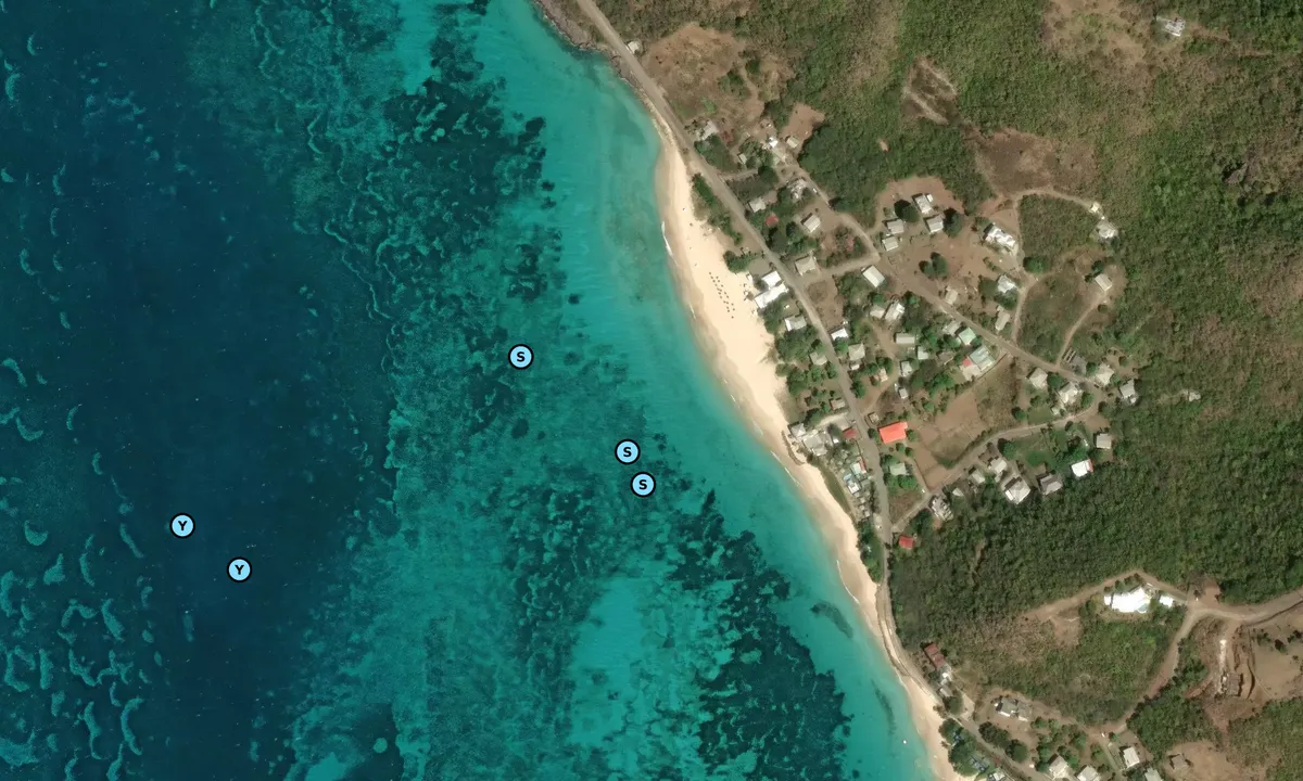 Satelite image of Picarts Bay