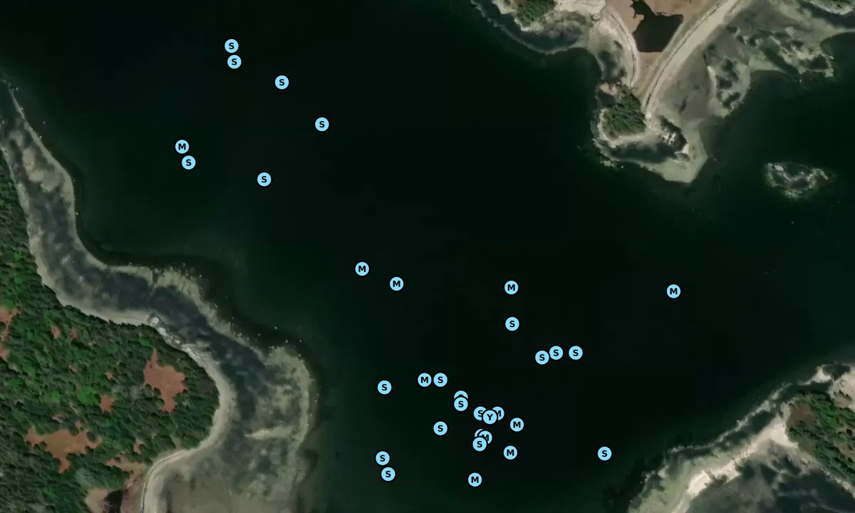 Satelite image of Pickering Cove 1