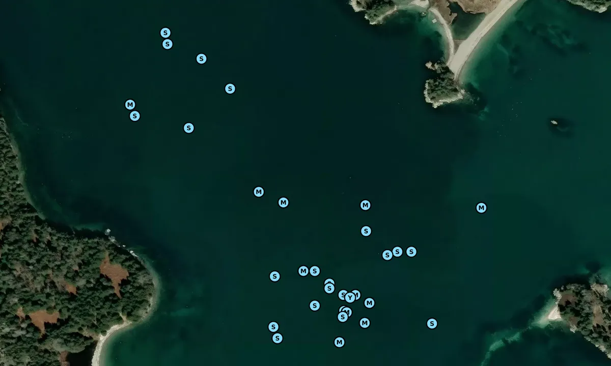 Satelite image of Pickering Cove 1