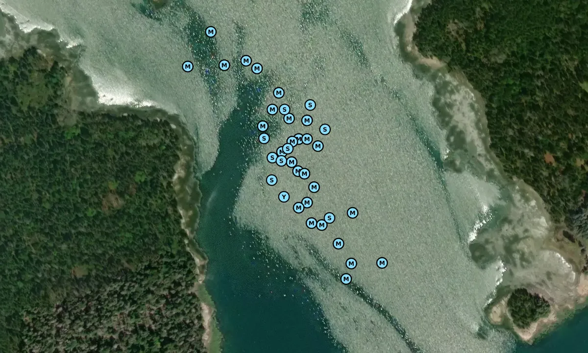 Satelite image of Pickering Cove