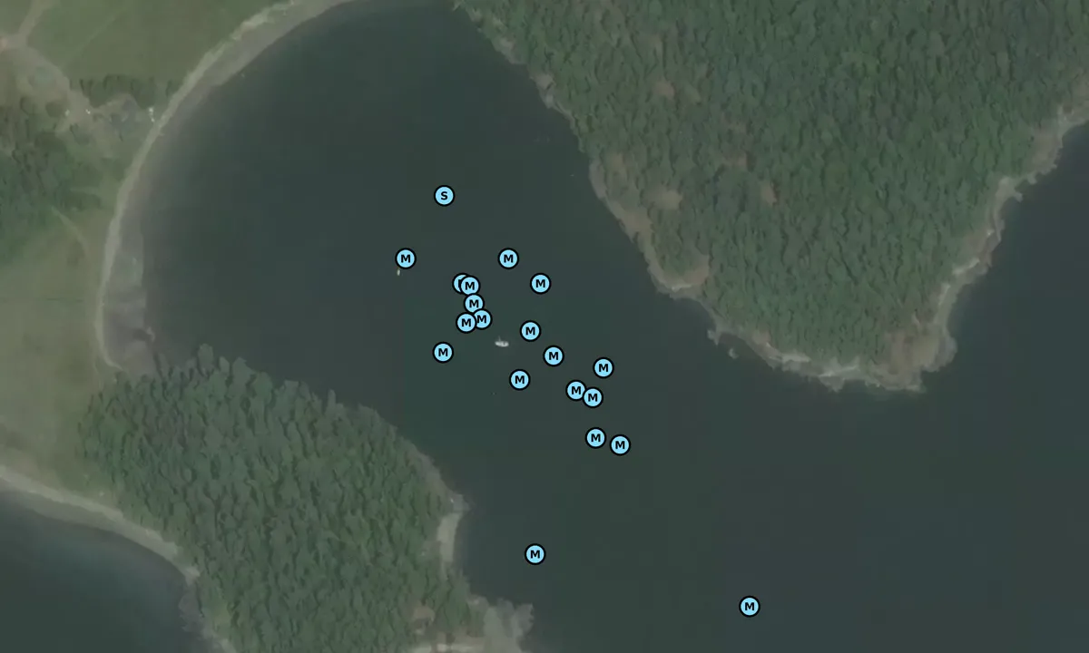 Satelite image of Picnic Cove - Shaw