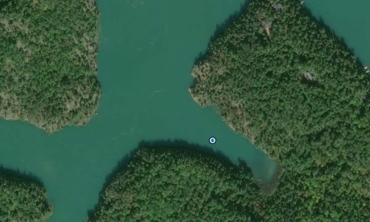 Satelite image of Picture Island