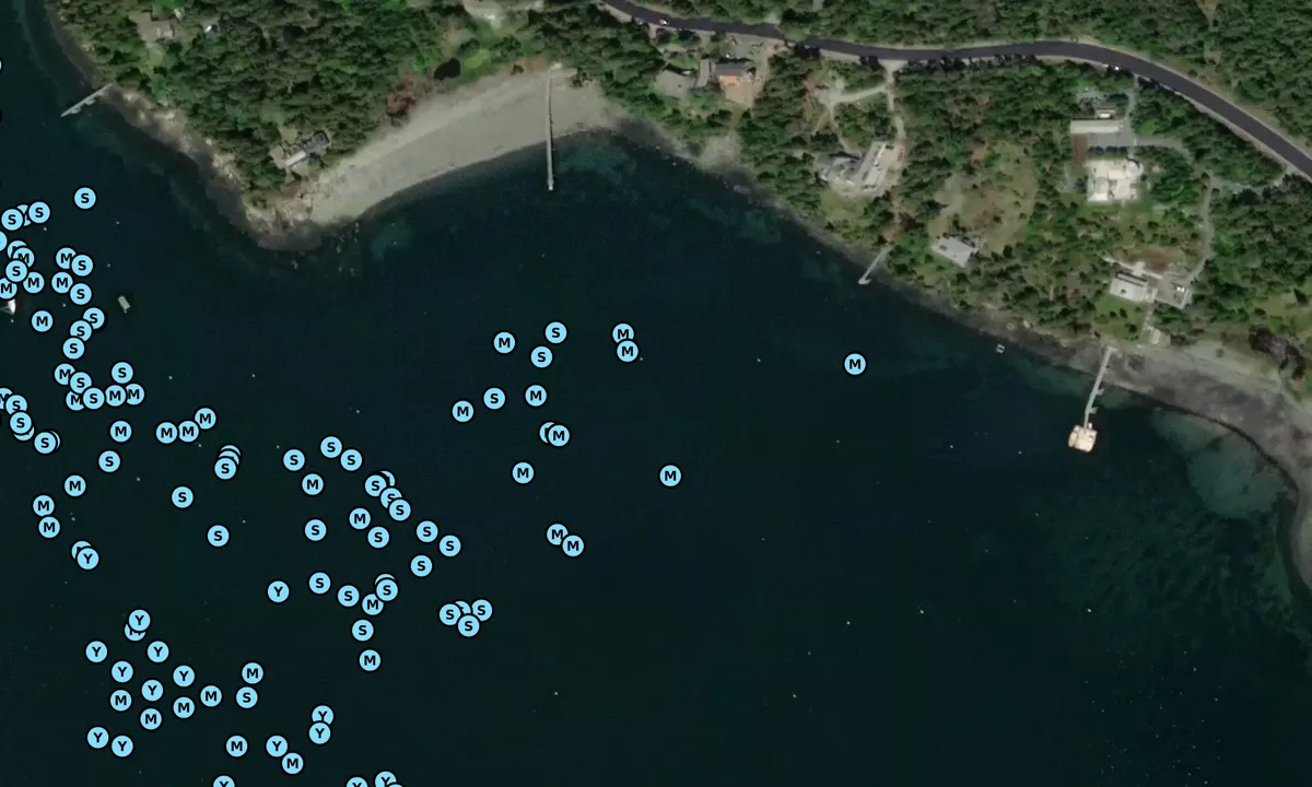 Satelite image of Pierce Head