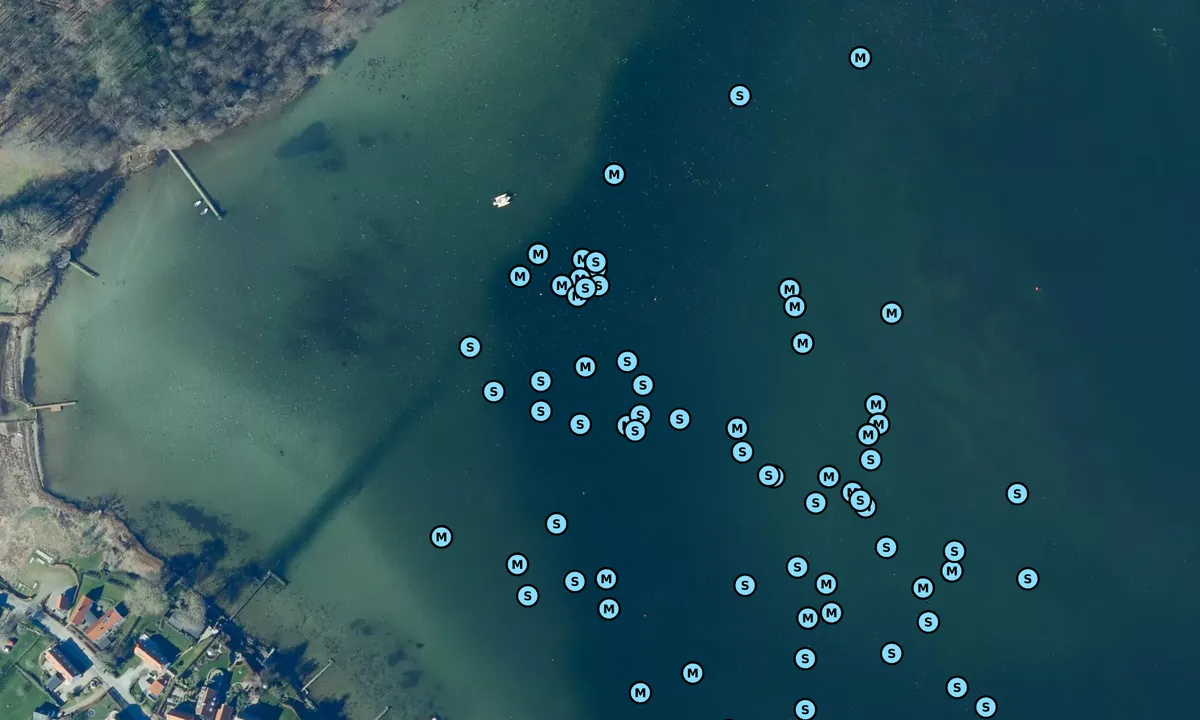Satelite image of Pilekrogen Troense bouy