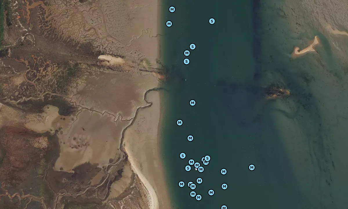 Satelite image of Pilsey Island