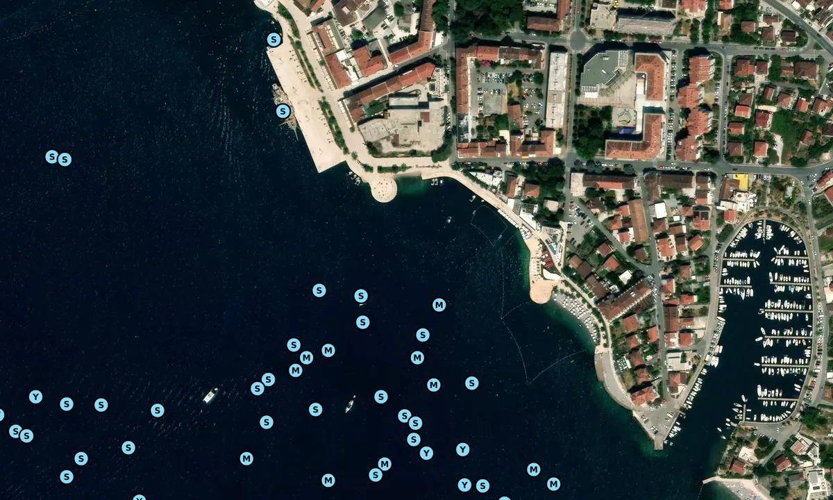 Satelite image of Pine