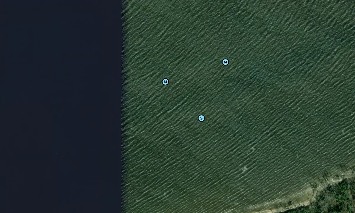 Satelite image of Pine Cliff Recreational Area