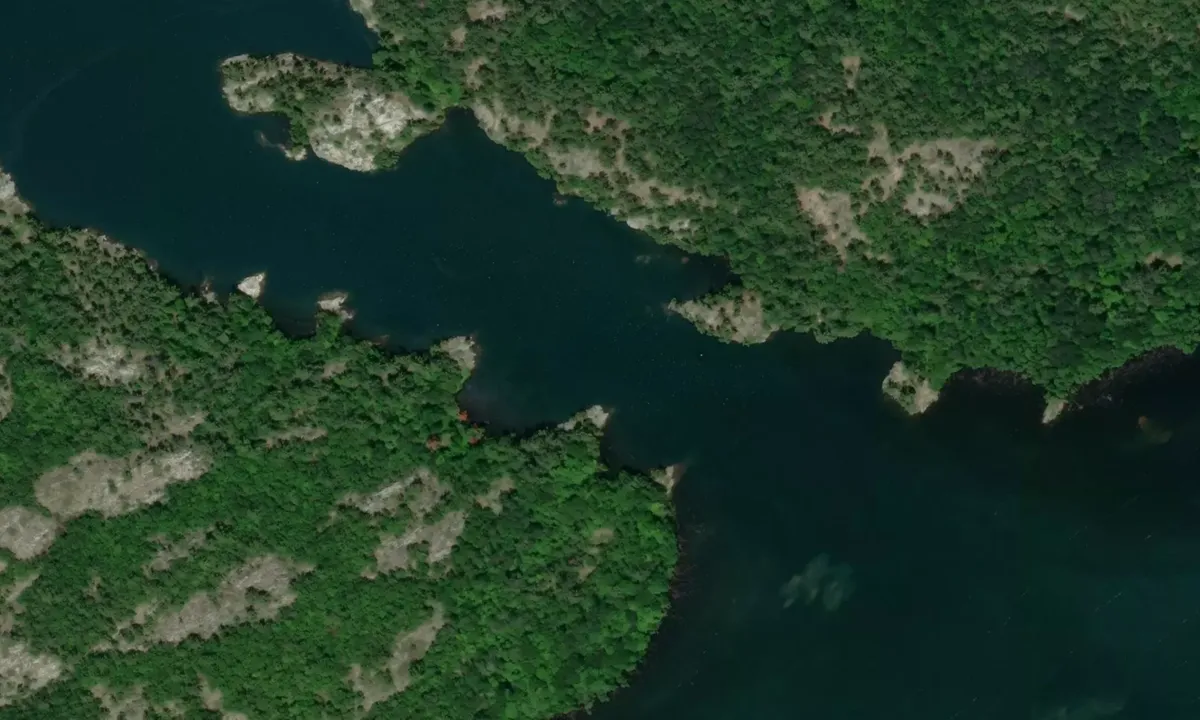 Flyfoto av Pine Island 1