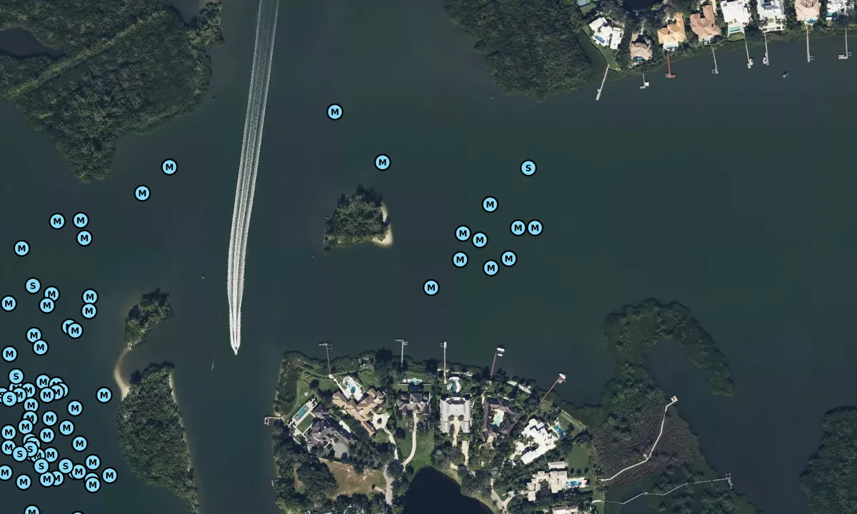 Satelite image of Pine Island - 3