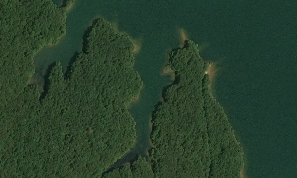 Satelite image of Piney Grove - 2