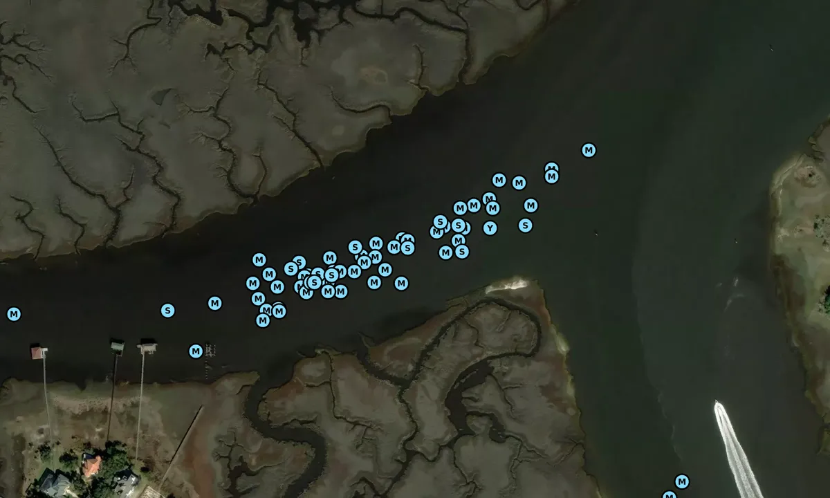 Satelite image of Piney Island