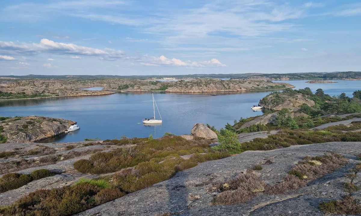 Pinnö: {"base": "no", "no": "Flott h\u00f8y \u00f8y som gir god beskyttelse for vind fra SV-V", "se": "Fin h\u00f6g \u00f6 som ger bra skydd f\u00f6r vind fr\u00e5n SV-V", "en": "Great high island that provides good protection from winds from SW-NW", "da": "Flot h\u00f8j \u00f8, som giver god beskyttelse mod vind fra SV-V"}