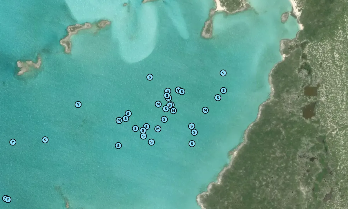 Satelite image of pipe cay