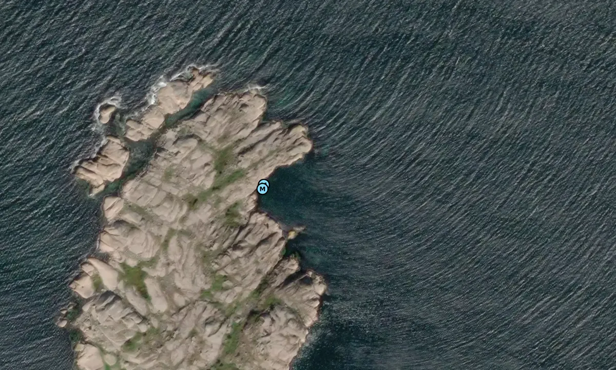 Satelite image of Pittleholmen