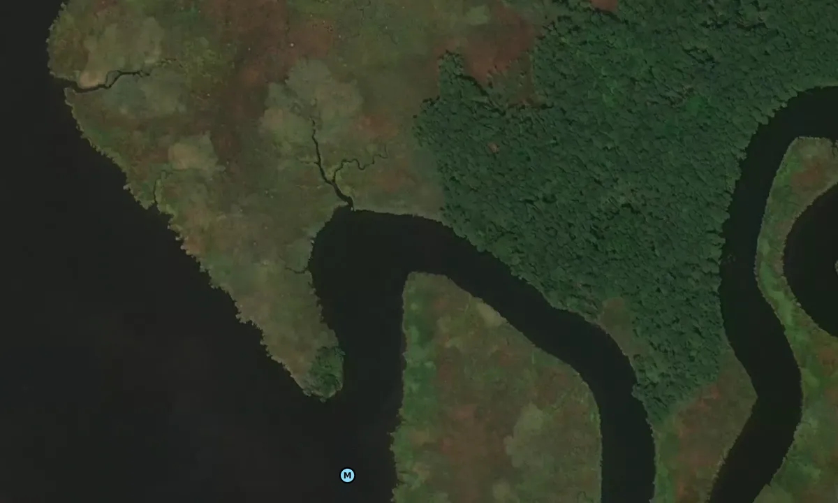 Satelite image of Pitts Creek