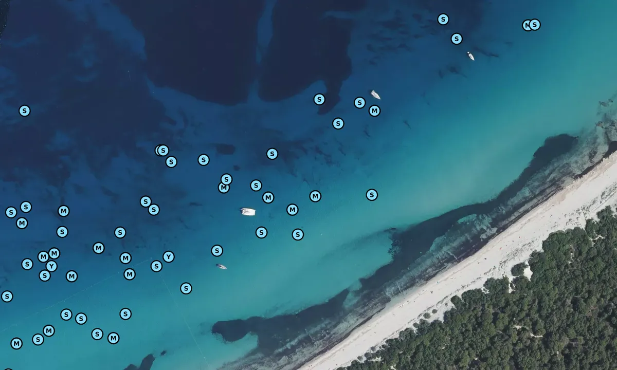 Satelite image of Plage de Saleccia