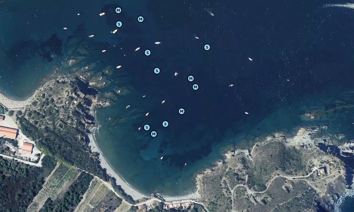 Satelite image of Plage del Forat