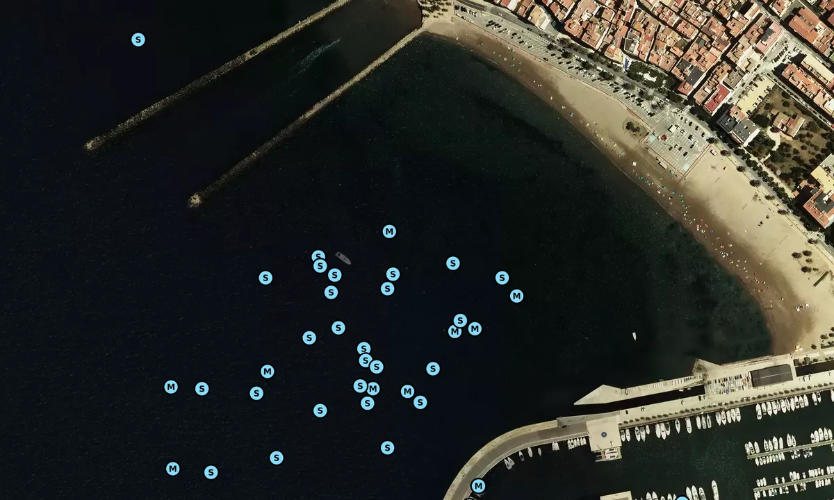Satelite image of Platja la Punta - Roses