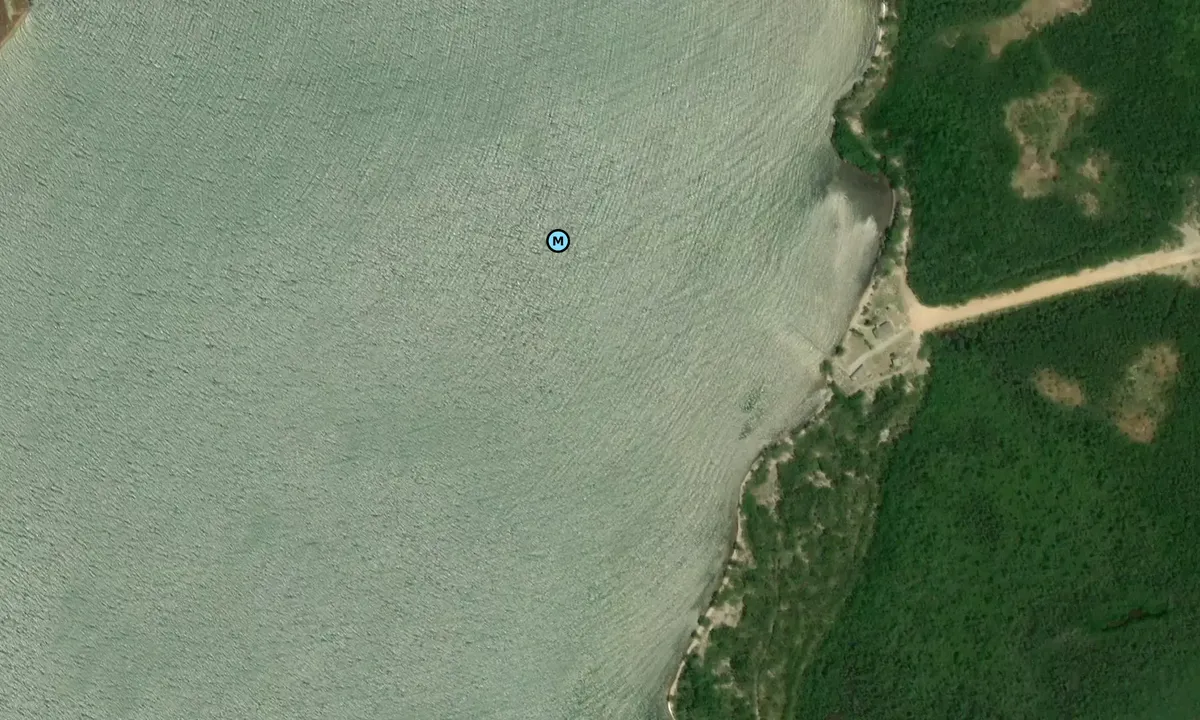 Satelite image of Playa Carenero