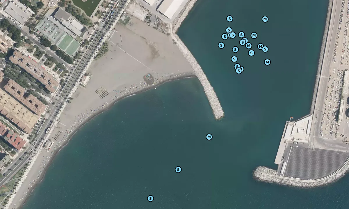 Satelite image of playa de Huelin