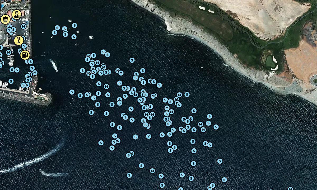 Satelite image of Playa de Pasito Blanco