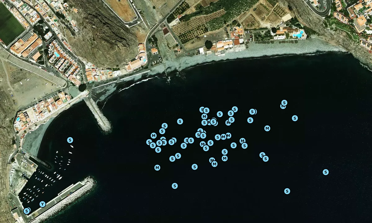 Satelite image of Playa de Santiago
