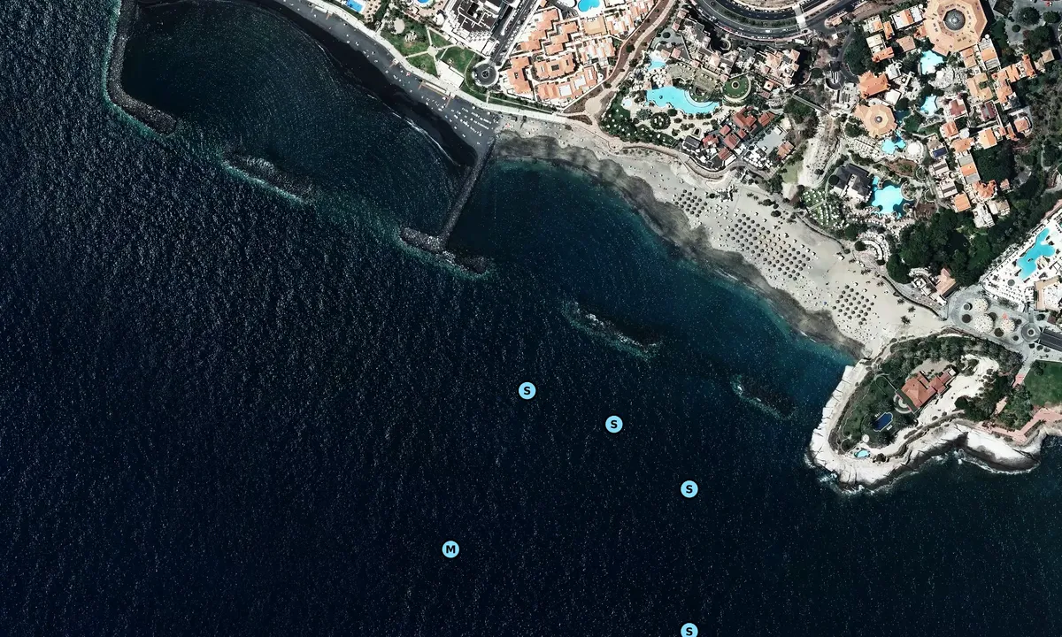 Satelite image of Playa del Duque