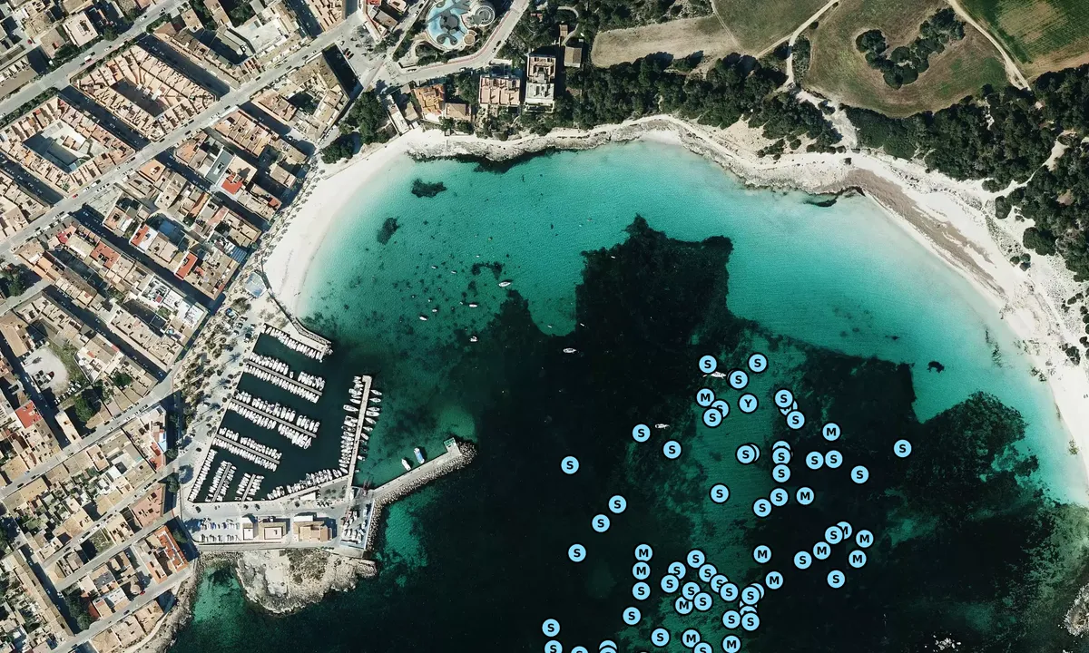 Satelite image of Playa d'es Dolç