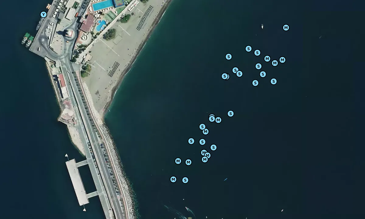 Satelite image of Playa la Malagueta