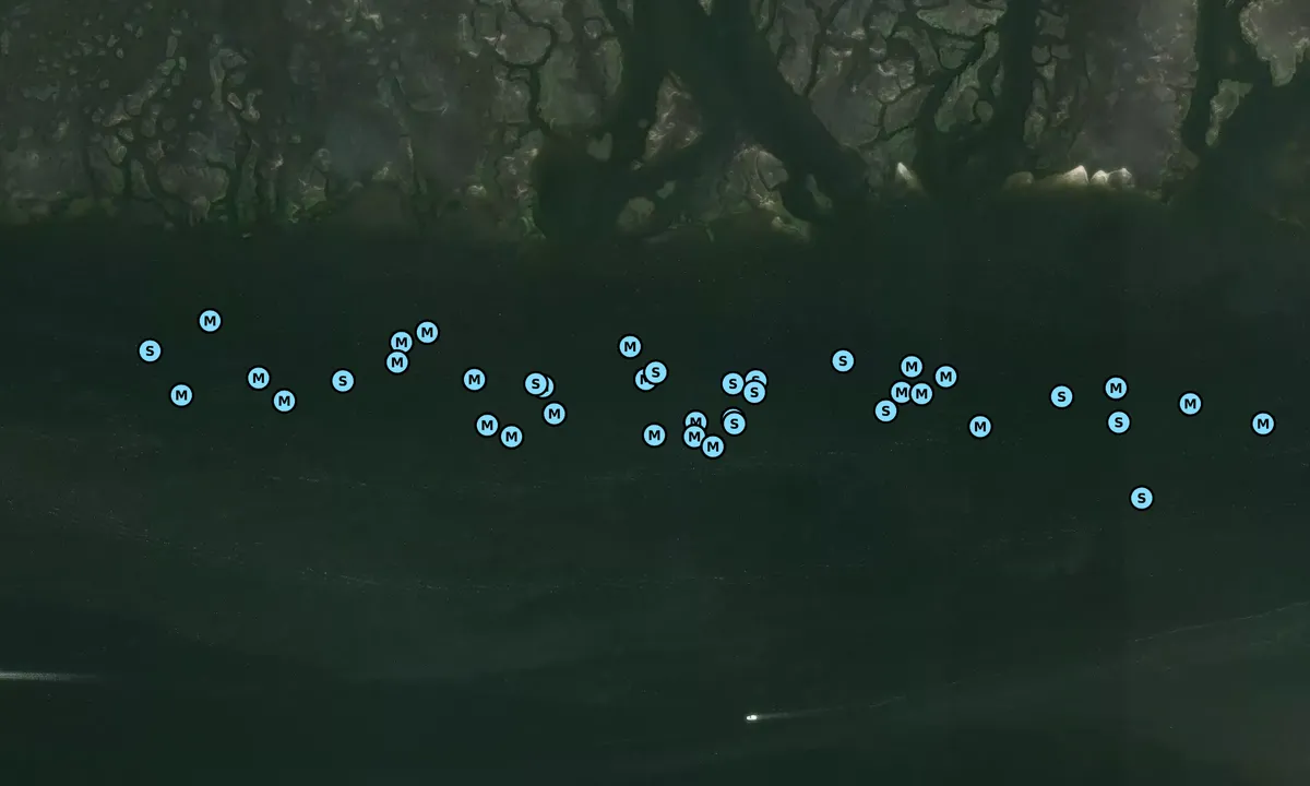 Satelite image of Pleasants Point