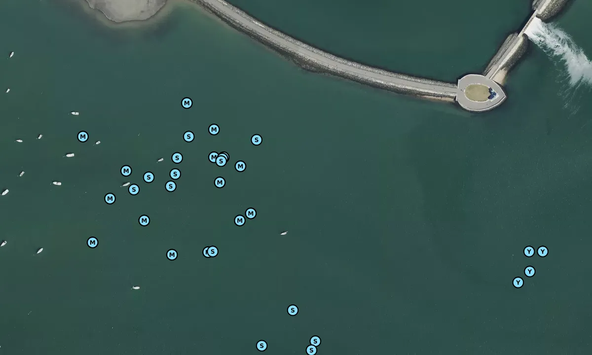 Satelite image of Pleasure Bay