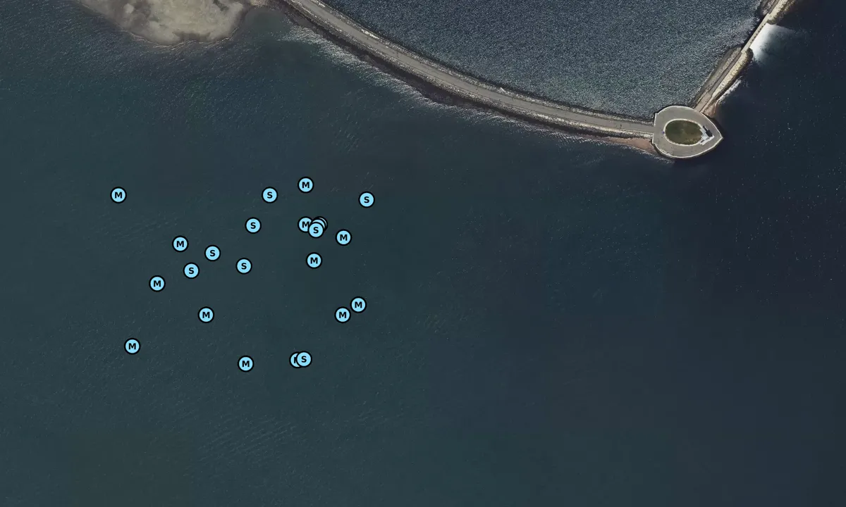 Satelite image of Pleasure Bay
