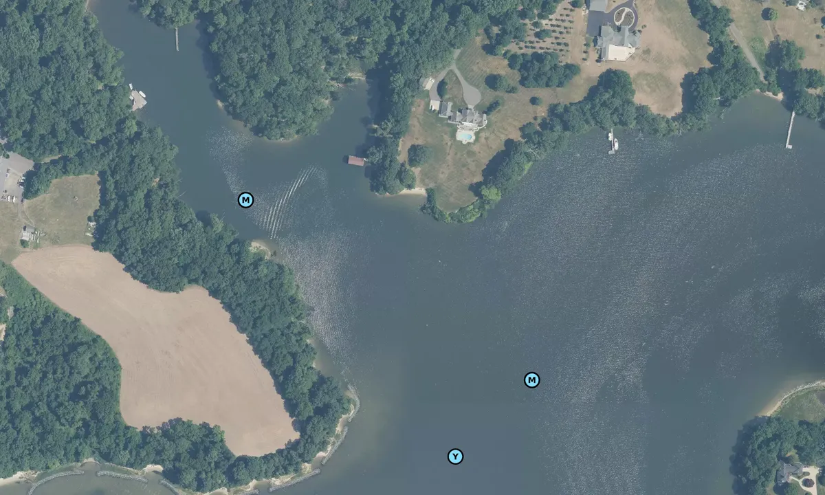Satelite image of Point Farm Cove