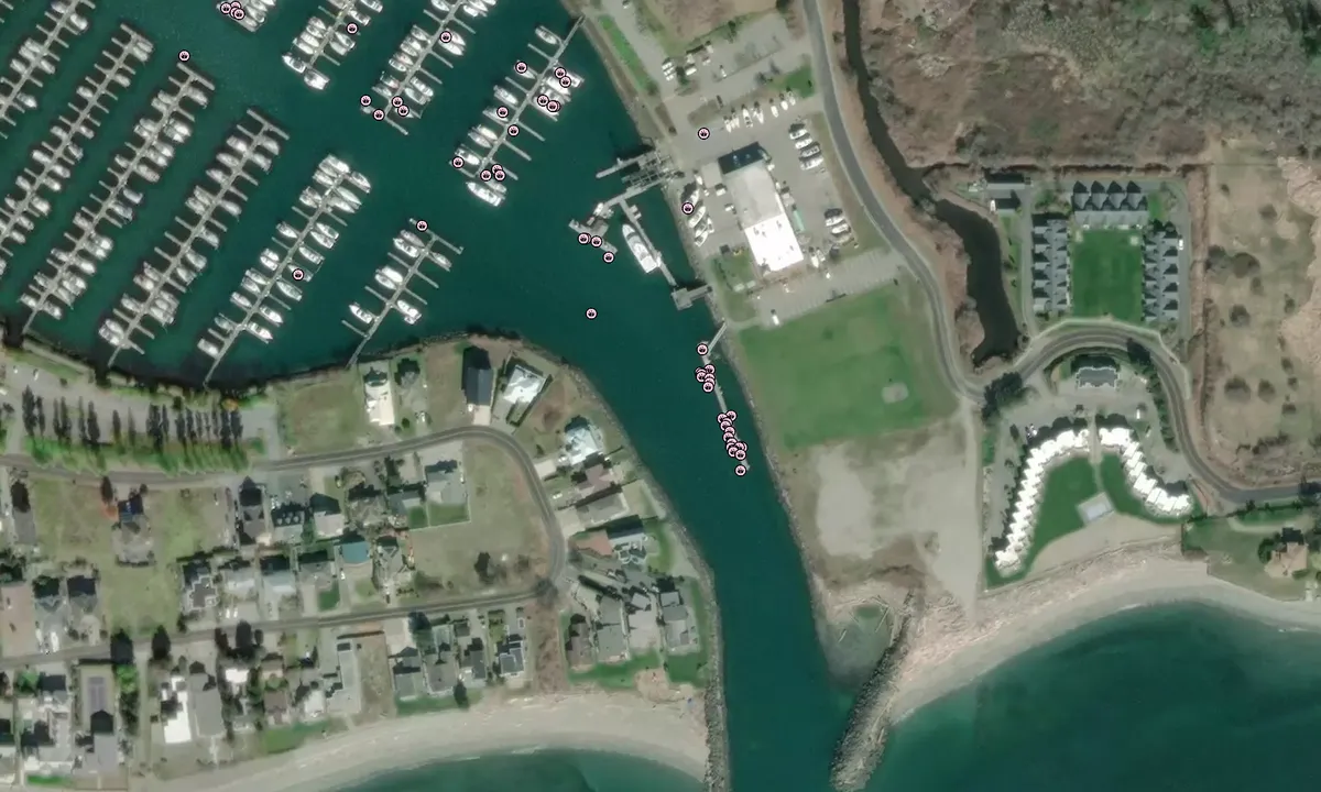 Flyfoto av Point Roberts Marina