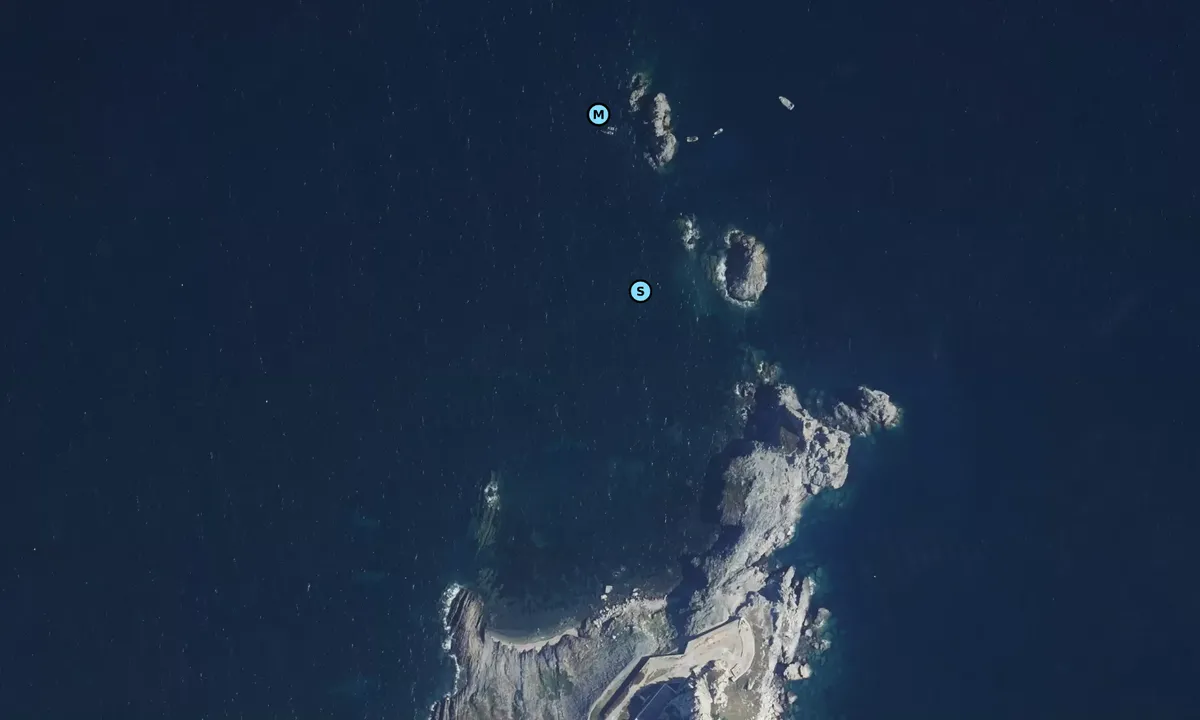 Satelite image of Pointe des Medes