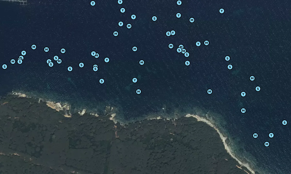 Satelite image of Pointe du Vengeur